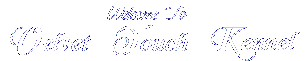 Welome to Velvet Touch Kennel